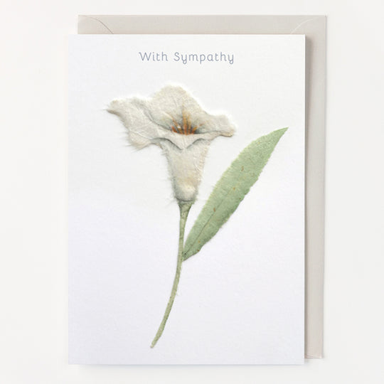 HF01 - With Sympathy